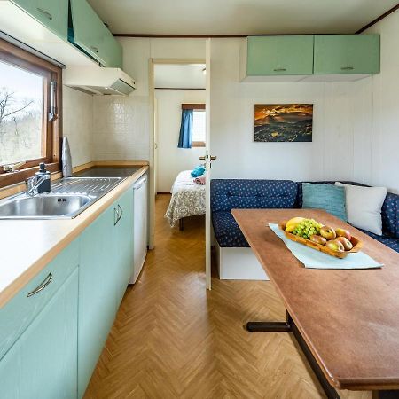Mobilheim Chalet - Vyrovicka Prehrada Vyrovice エクステリア 写真